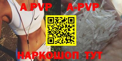 гашик Донской