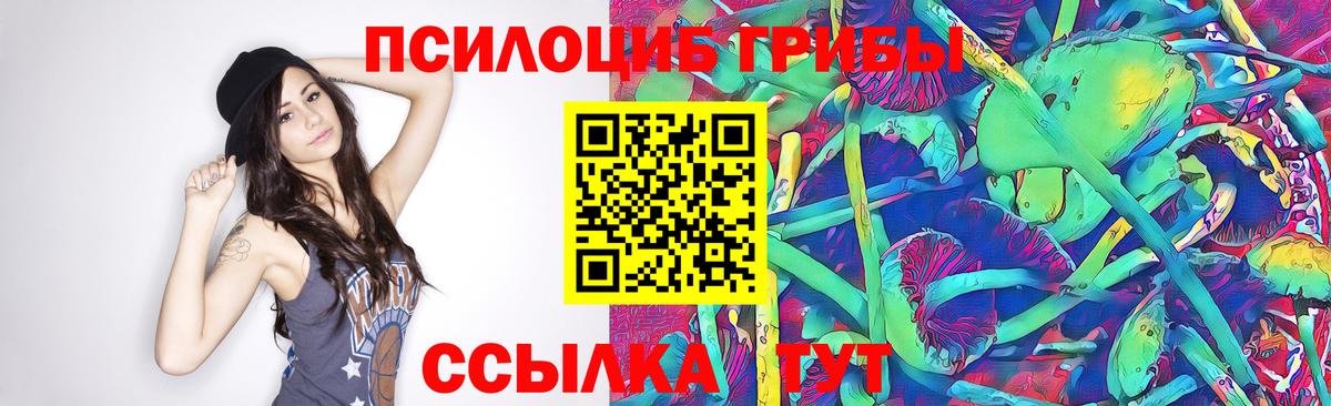 Псилоцибиновые грибы ЛСД  Вход с VPN  Псилоцибиновые грибы мухоморы  Тутаев 